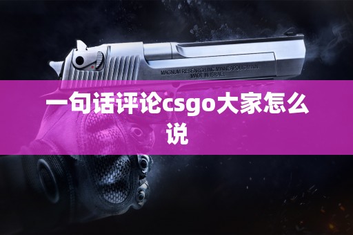 一句话评论csgo大家怎么说