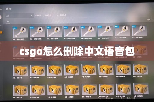csgo怎么删除中文语音包