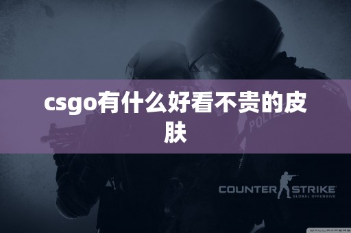 csgo有什么好看不贵的皮肤