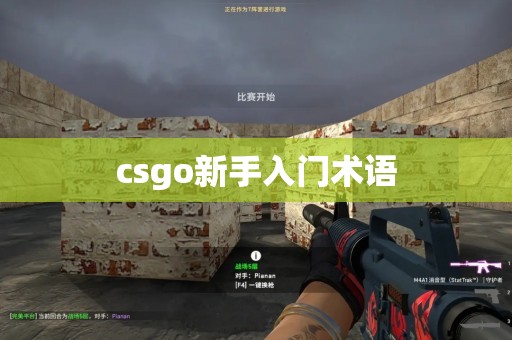 csgo新手入门术语