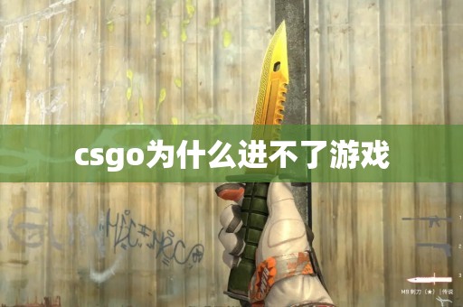 csgo为什么进不了游戏