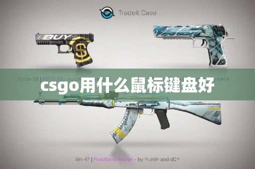 csgo用什么鼠标键盘好