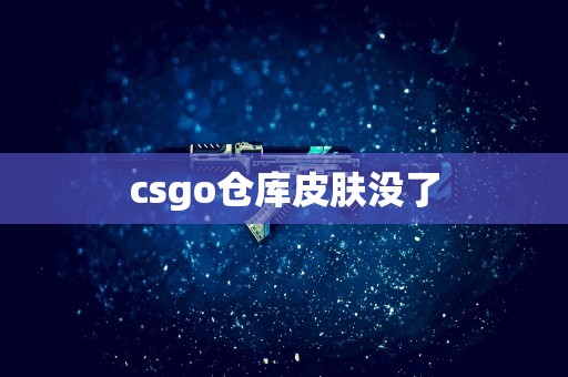 csgo仓库皮肤没了