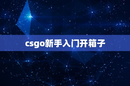 csgo新手入门开箱子