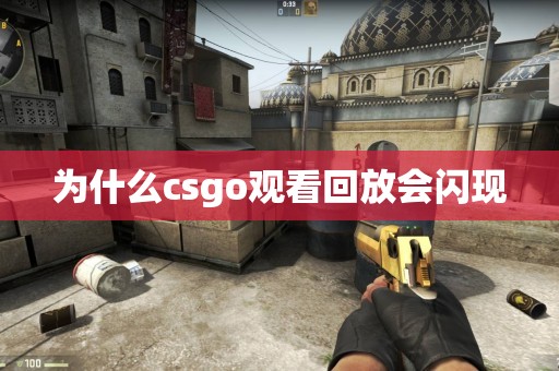 为什么csgo观看回放会闪现