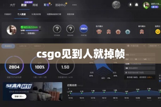 csgo见到人就掉帧