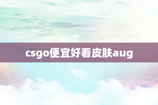 csgo便宜好看皮肤aug