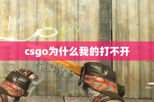 csgo为什么我的打不开