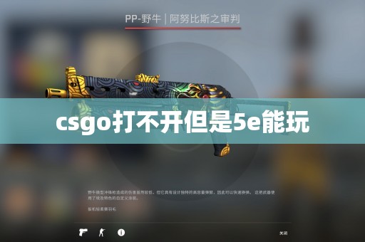 csgo打不开但是5e能玩