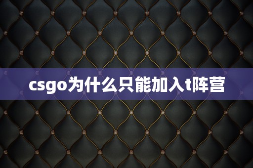 csgo为什么只能加入t阵营