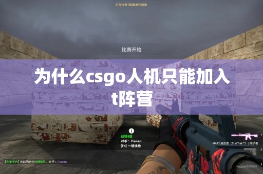 为什么csgo人机只能加入t阵营