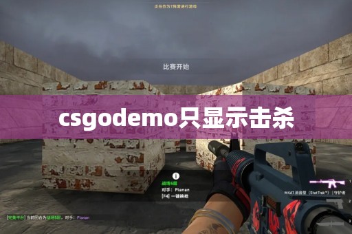 csgodemo只显示击杀