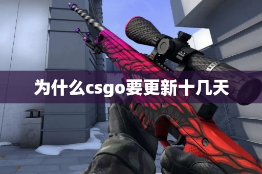 为什么csgo要更新十几天