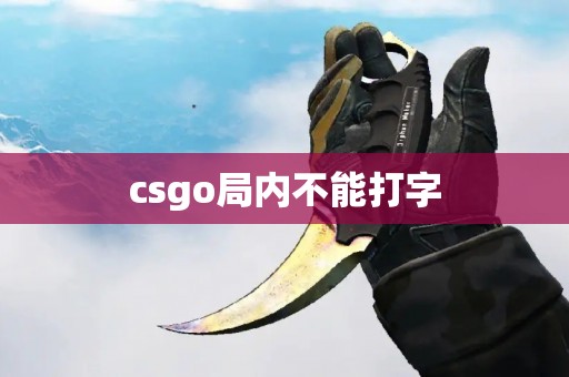 csgo局内不能打字