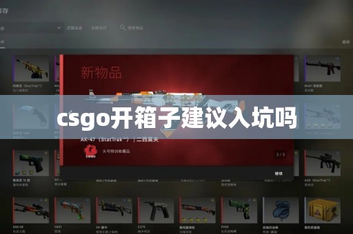 csgo开箱子建议入坑吗