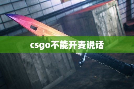 csgo不能开麦说话