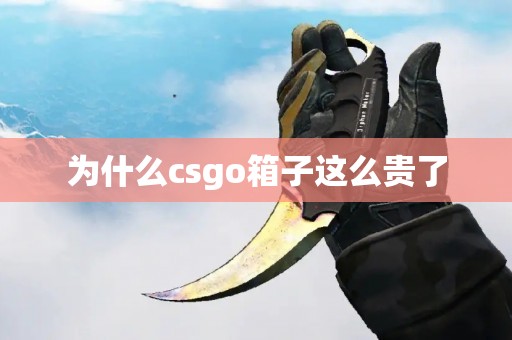 为什么csgo箱子这么贵了