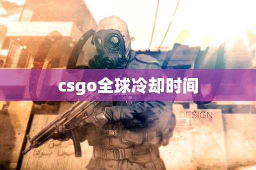 csgo全球冷却时间