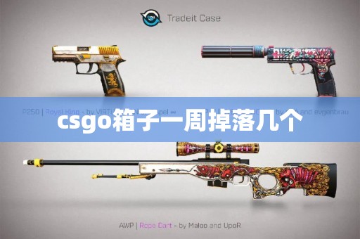 csgo箱子一周掉落几个