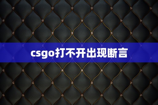 csgo打不开出现断言