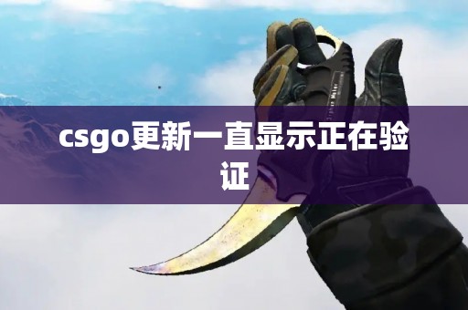 csgo更新一直显示正在验证