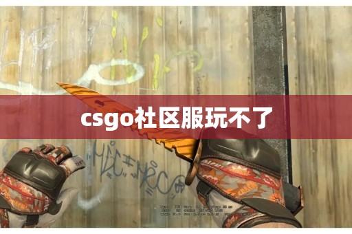 csgo社区服玩不了