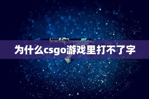 为什么csgo游戏里打不了字