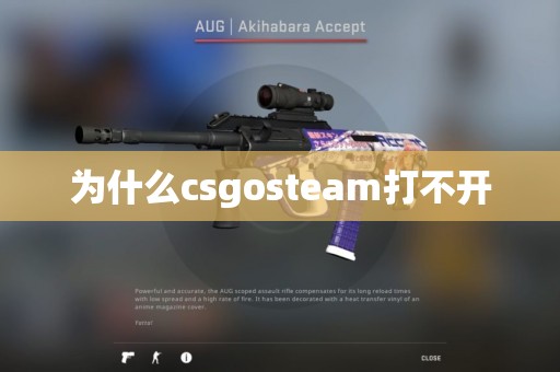 为什么csgosteam打不开