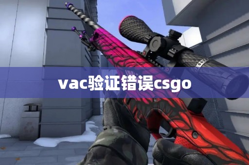 vac验证错误csgo