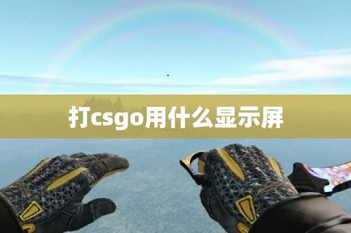 打csgo用什么显示屏