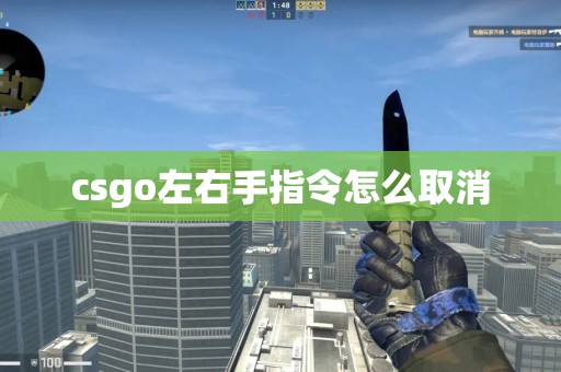 csgo左右手指令怎么取消