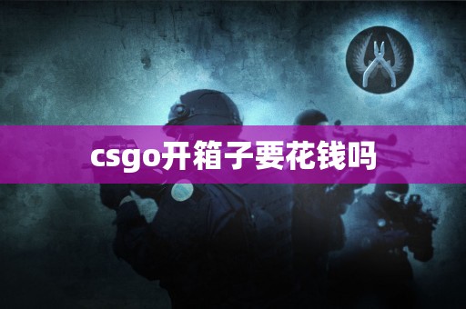 csgo开箱子要花钱吗