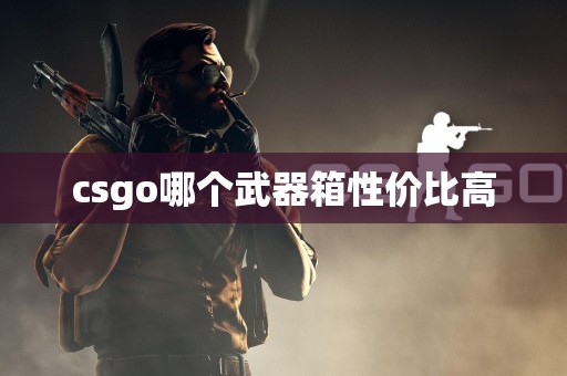 csgo哪个武器箱性价比高