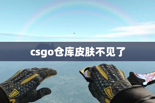 csgo仓库皮肤不见了