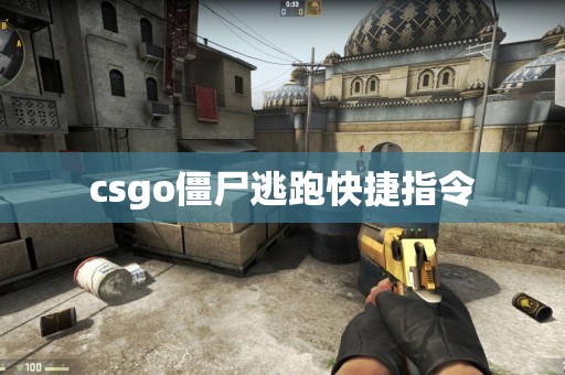 csgo僵尸逃跑快捷指令