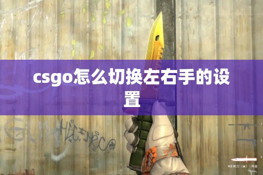 csgo怎么切换左右手的设置