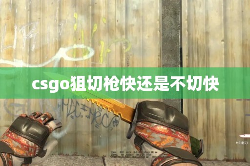 csgo狙切枪快还是不切快