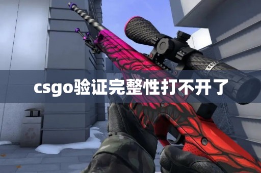 csgo验证完整性打不开了