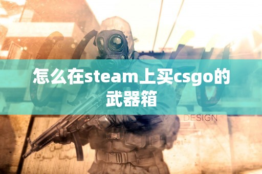 怎么在steam上买csgo的武器箱