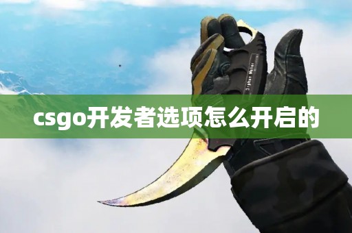 csgo开发者选项怎么开启的