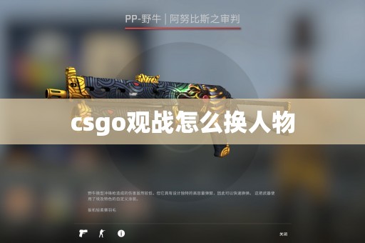 csgo观战怎么换人物