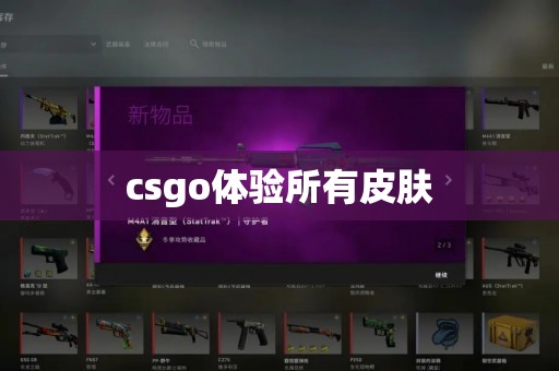 csgo体验所有皮肤