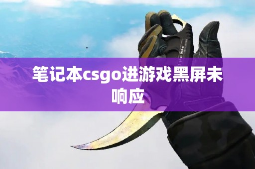 笔记本csgo进游戏黑屏未响应