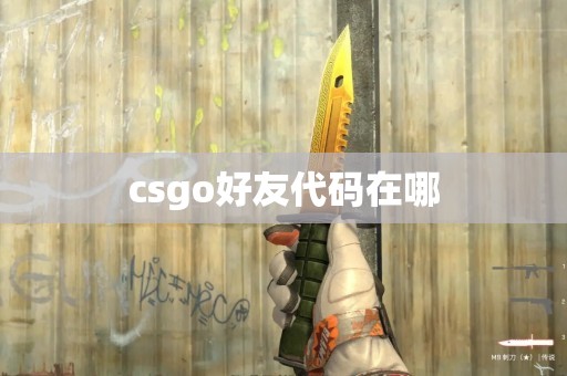 csgo好友代码在哪