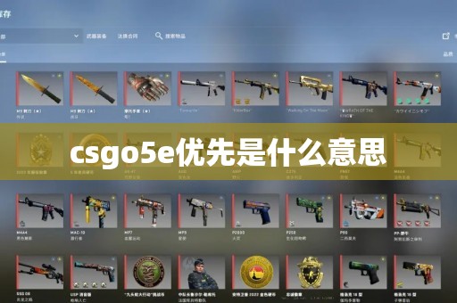 csgo5e优先是什么意思