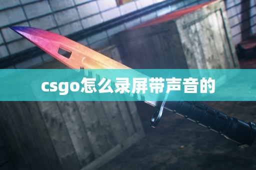 csgo怎么录屏带声音的