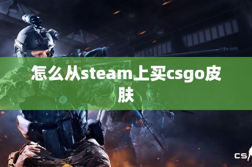 怎么从steam上买csgo皮肤