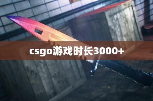 csgo游戏时长3000+