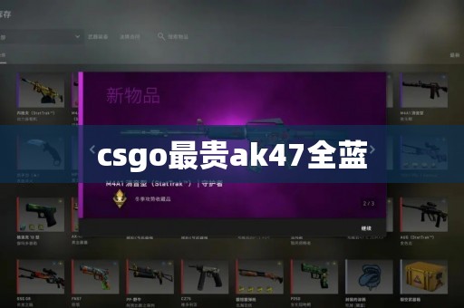 csgo最贵ak47全蓝