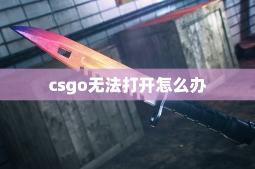 csgo无法打开怎么办